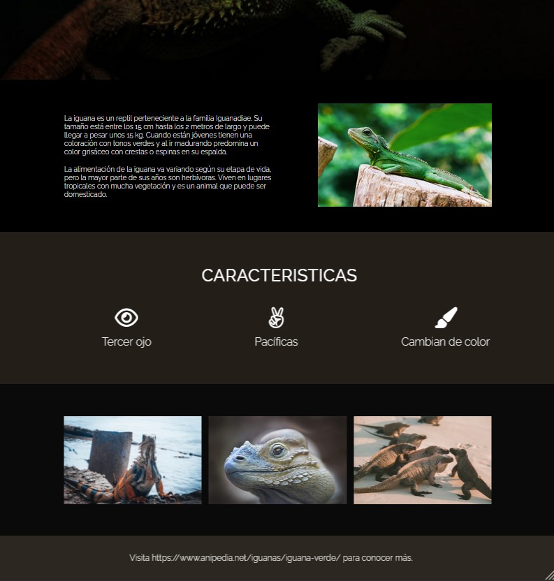 Iguana page